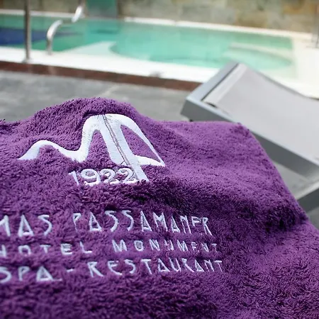 Boutique Mas Passamaner Hotel La Selva del Camp